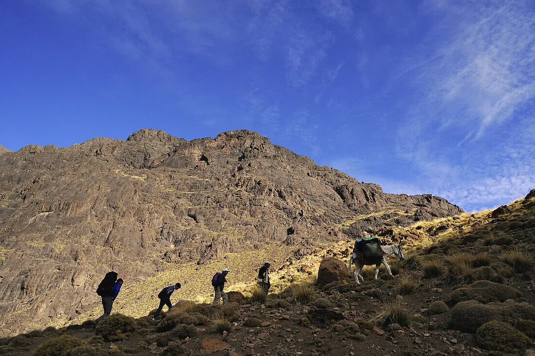 Day Trips From Marrakech