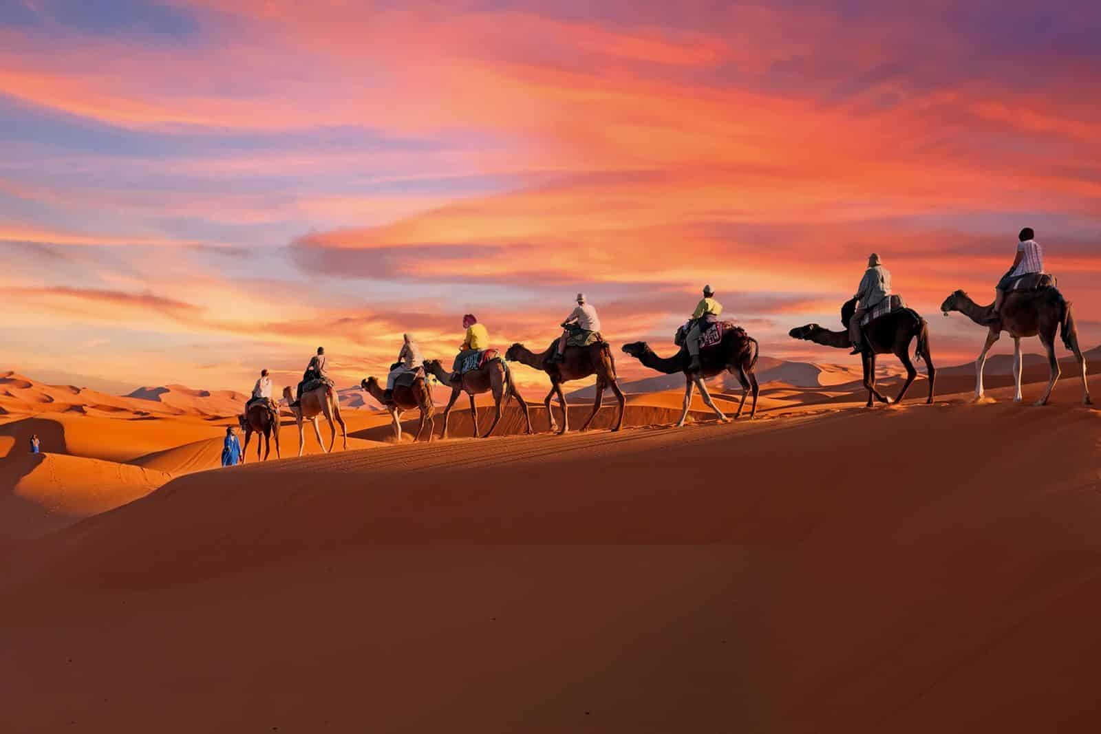 Morocco Private Sahara Tours Home
