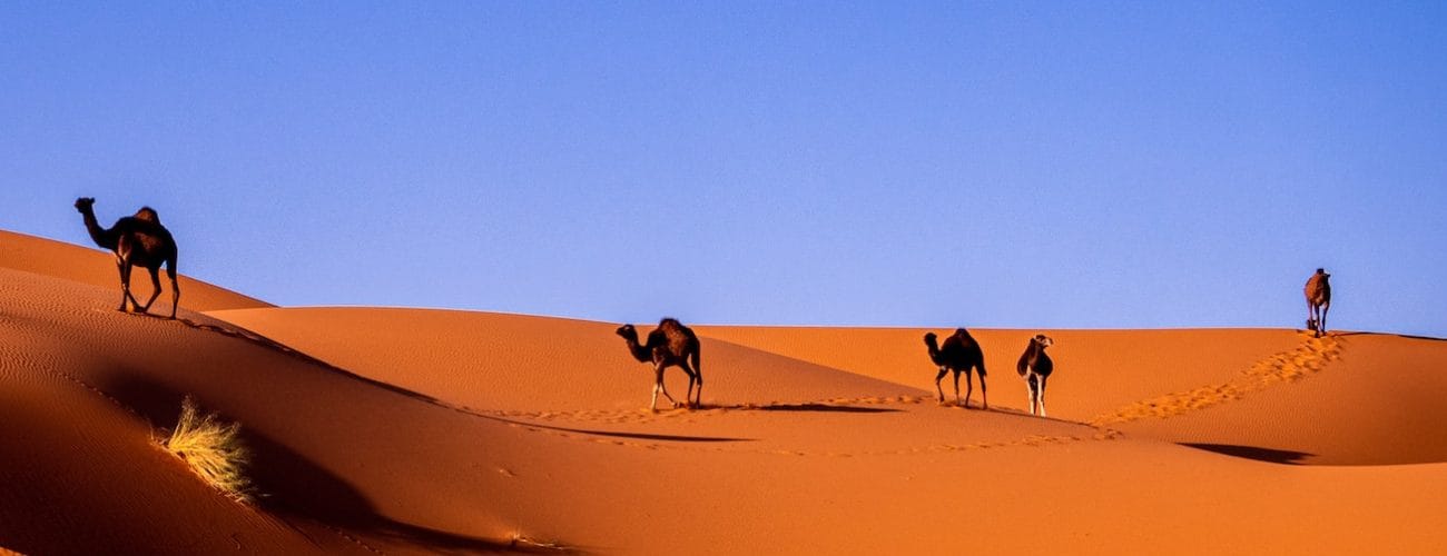 Morocco Private Sahara Tours 10 Days Desert Tour from Tangier