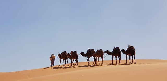 9-day desert tour from Casablanca