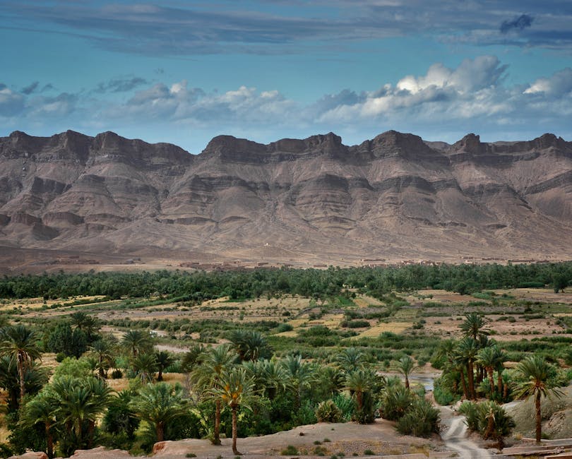 3 Days tour from Ouarzazate ,Lush oasis amidst arid mountains in Zagora, Morocco, capturing the stunning landscape.