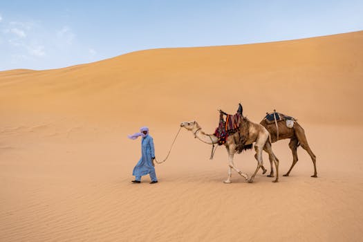 2 Days Desert Tour from Marrakech