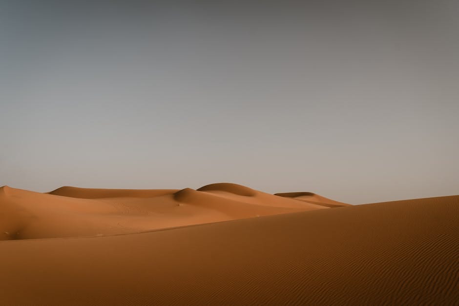 Morocco Tours from Casablanca