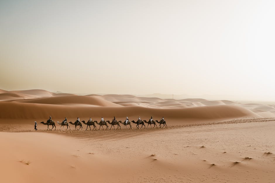 3 Days desert tour from Marrakech