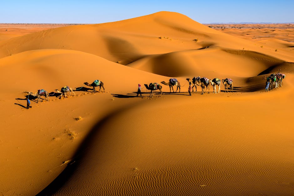 4 Days from Marrakech, Travel to Morocco, Best Tours from Marrakech