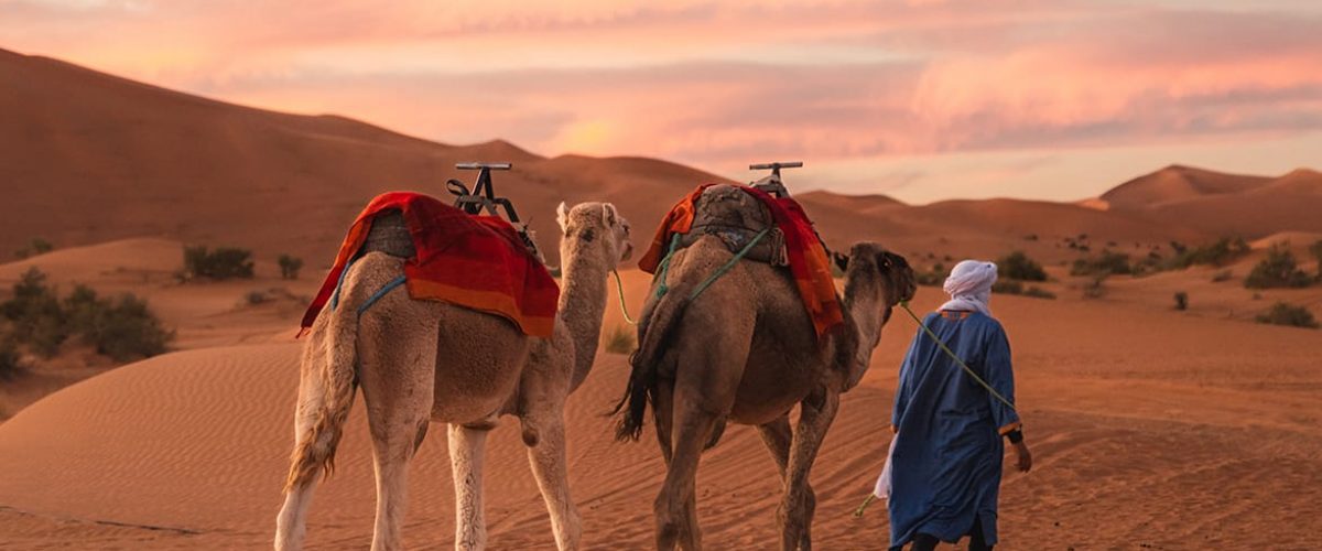 6 days tour from Fes to desert